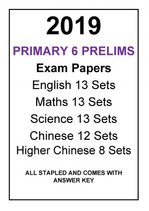 2019 p6 Prelim Exam Papers