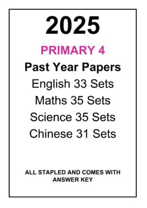 2025 P4 Top School Past Year Papers